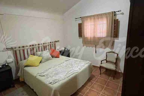 Farm hus i Almansa, Albacete, Almansa - € 560.000 | Ref: SF0516 - foto 29